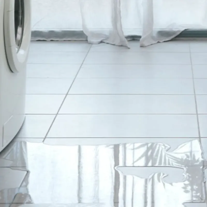 Appliance Leak Cleanup in Sandusky, MI