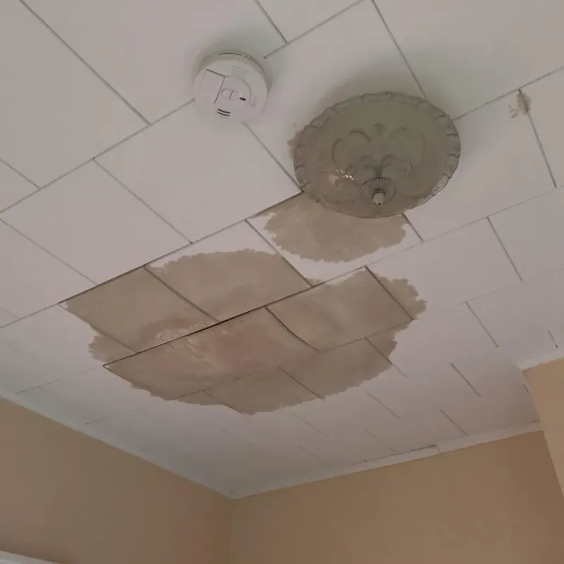 Ceiling Water Damage Repair in Sandusky, MI