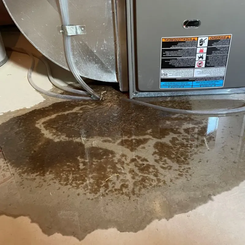 Pipe Burst and Leak Restoration in Sandusky, MI
